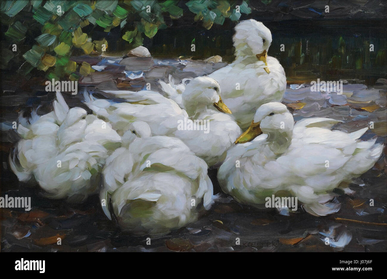 Alexander Koester’s 'Fünf ruhende weiße Enten' (Five Resting White ...