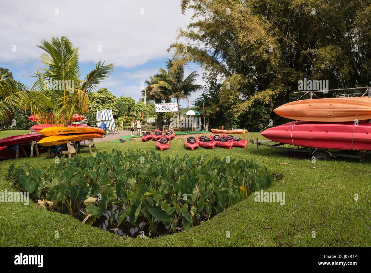 Kayaks for rent, with Taro pond, Hanalei, Kauai, Hawaii, USA Stock Photo
