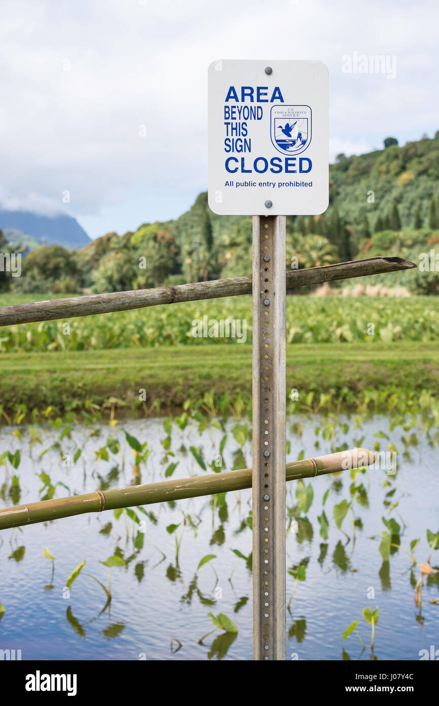 Hanalei national wildlife refuge hires stock photography and images