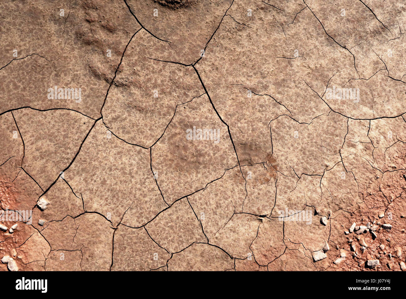 cracked dirt mud. example of erosion Stock Photo - Alamy