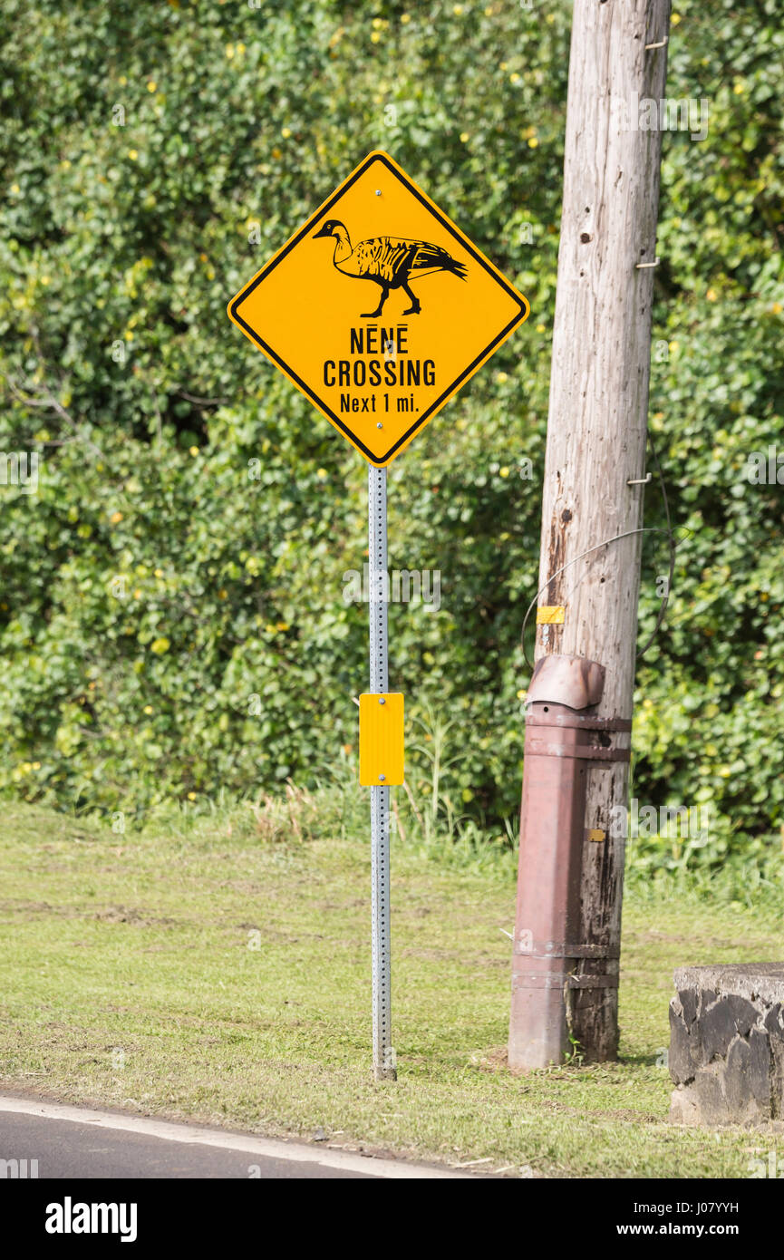 Sign warning of Nene, Hawaiian Goose, Branta sandvicensis, near Hanalei, Kauai, Hawaii, USA Stock Photo