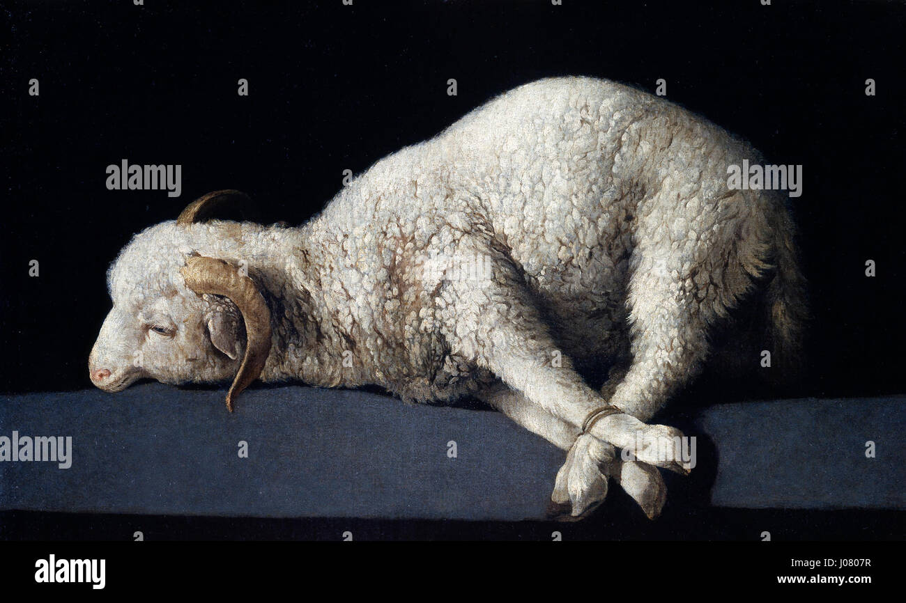 Agnus Dei Zurbarán Stock Photo - Alamy