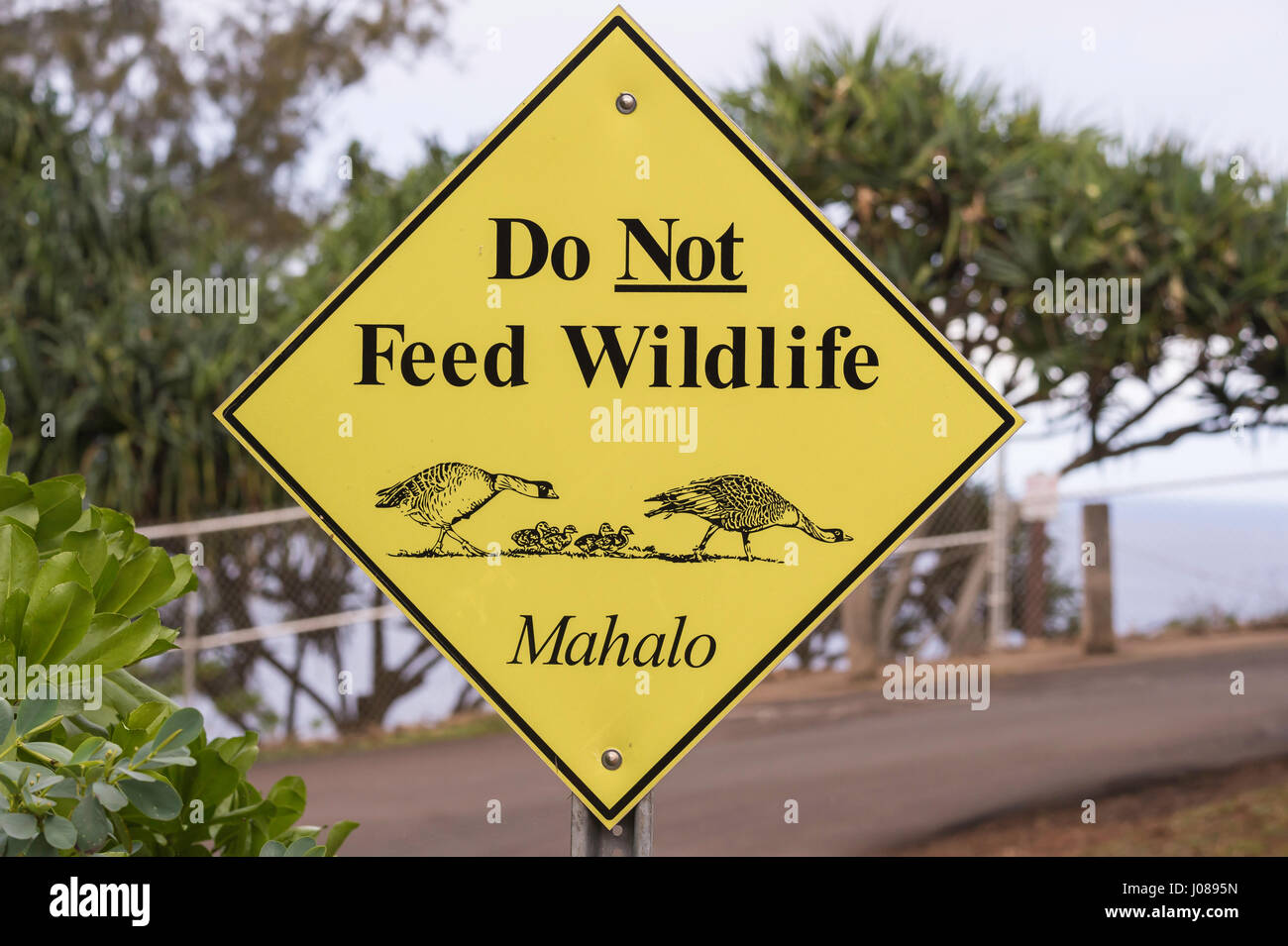 Do Not Feed Wildlife, Mahalo, sign, Kilauea Point National Wildlife Refuge, Kauai, Hawaii, USA Stock Photo
