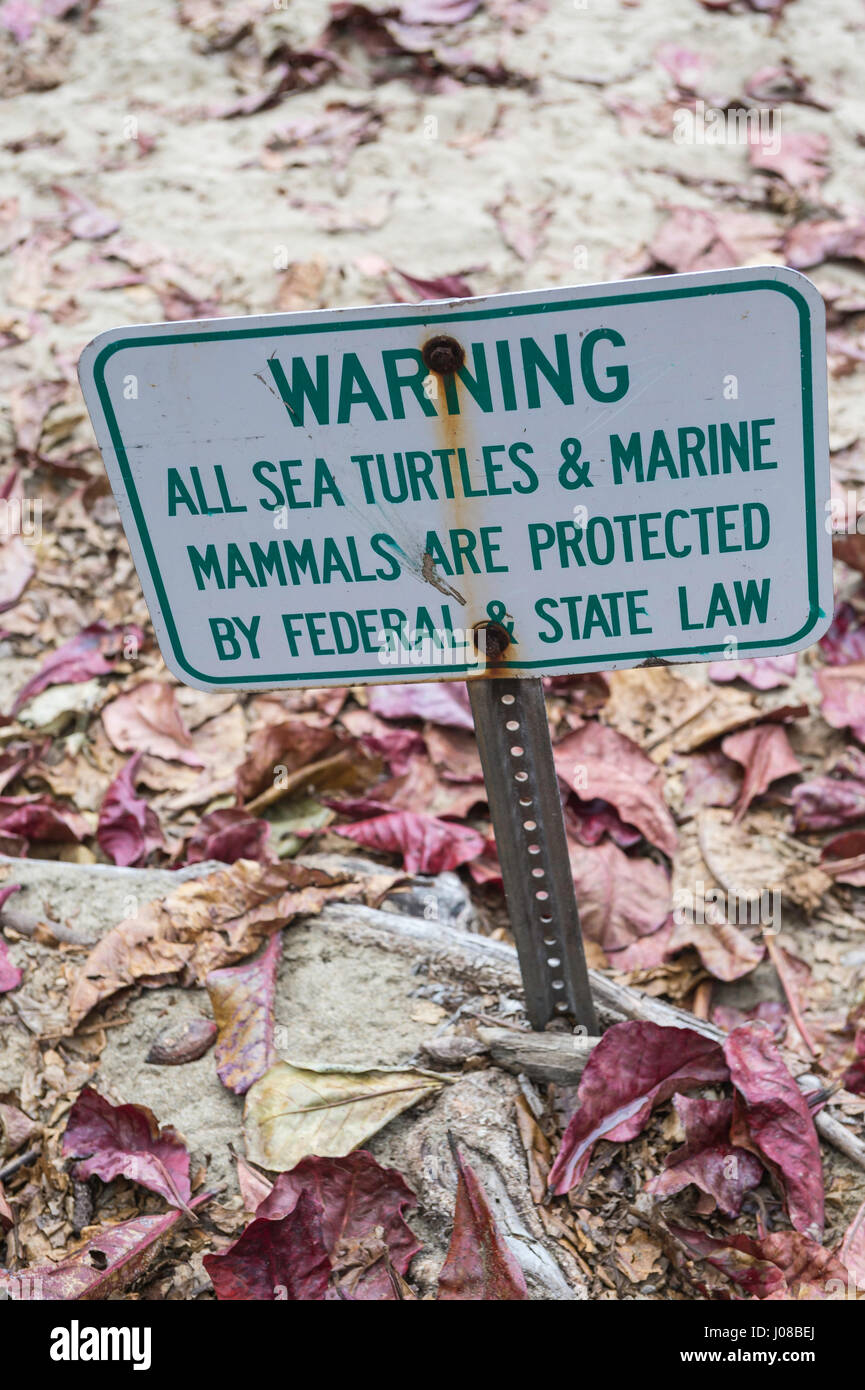 Warning sign, All sea turtles and marine mammals are protected by federal and state law, Ke'e Beach, Kauai, Hawaii, USA Stock Photo