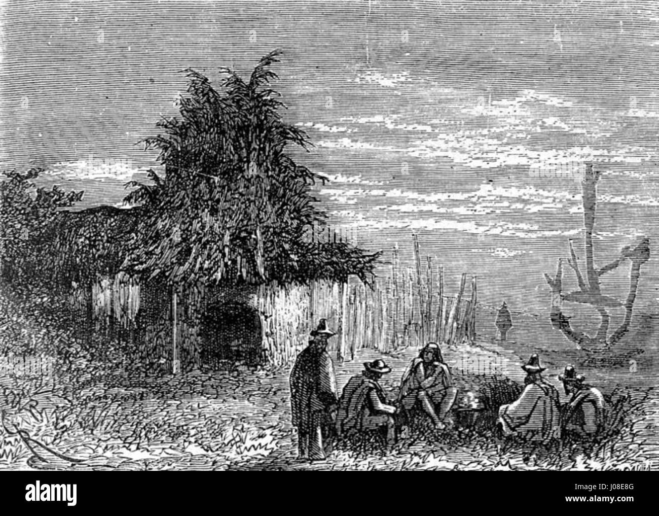 'The Children of Captain Grant' by Édouard Riou is an illustration from ...