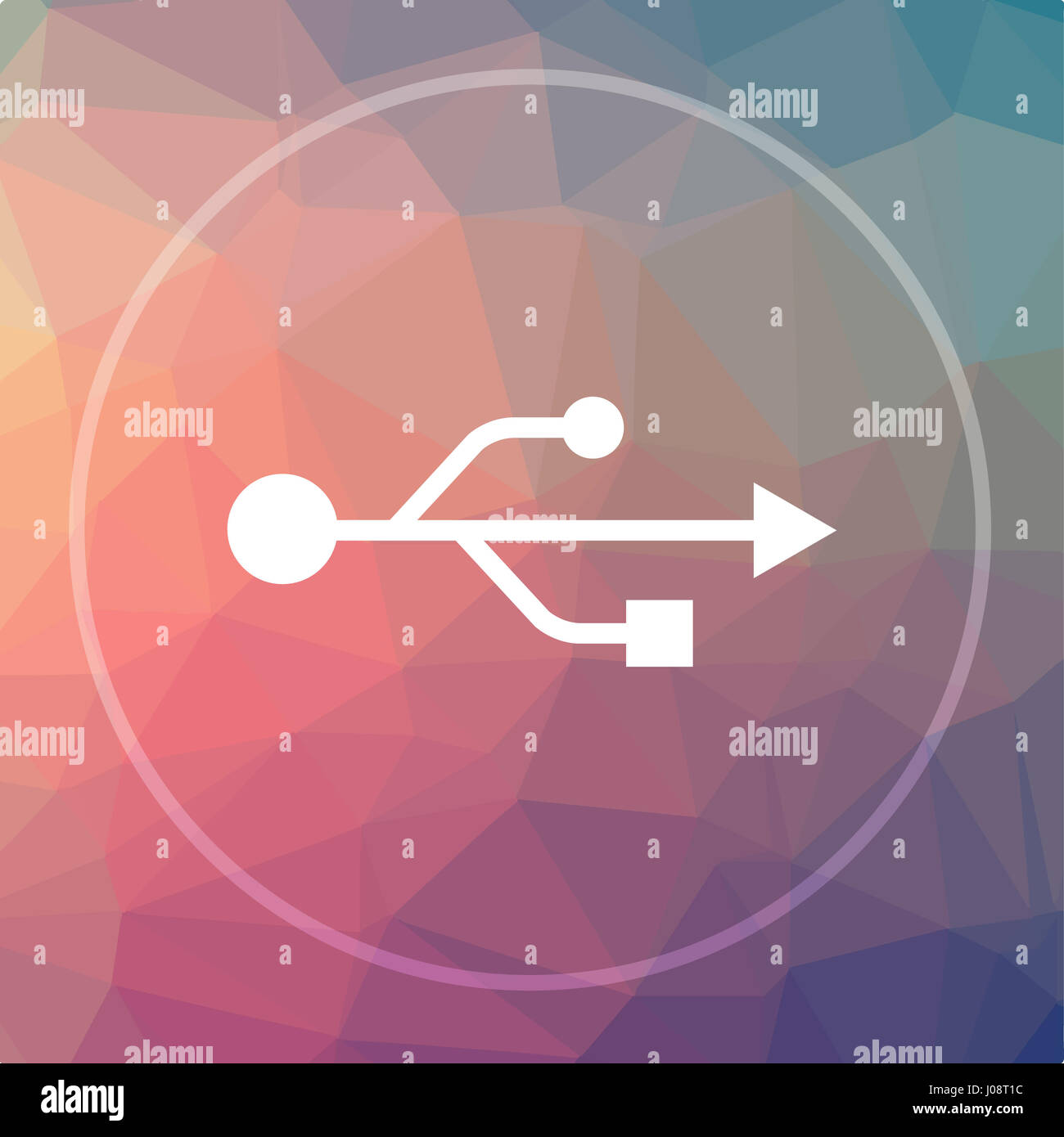 USB icon. USB website button on low poly background Stock Photo - Alamy