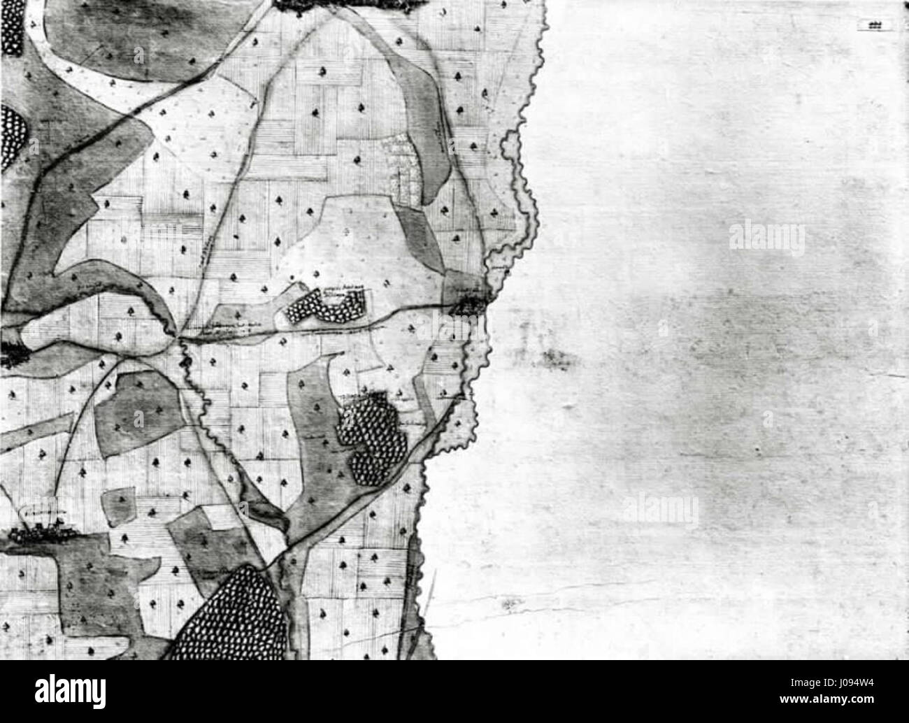 This Historical Forest Map Kiesersche Forstkarte Nr 2 From The 18th this-historical-forest-map-kiesersche-forstkarte-nr-2-from-the-18th