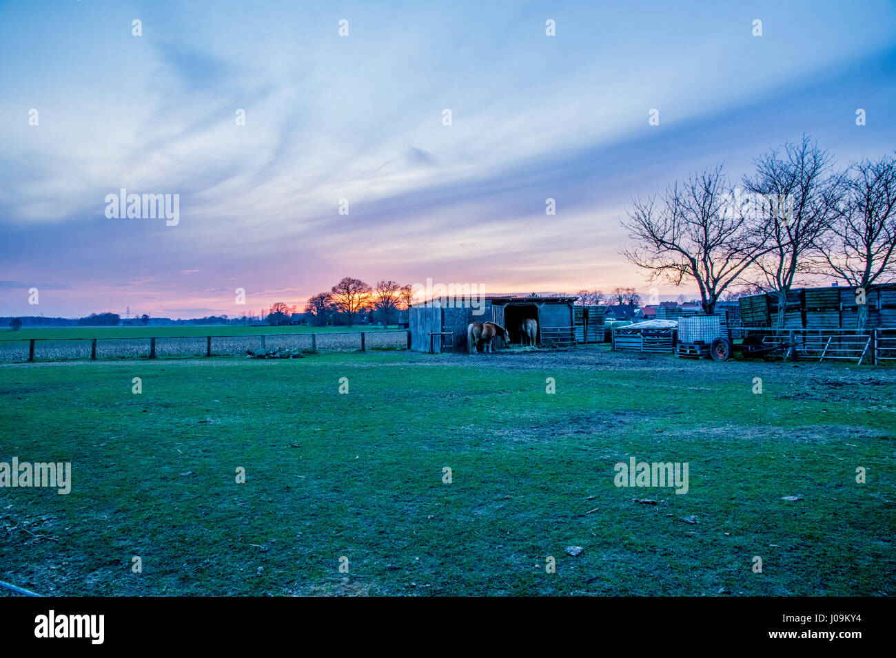 long green field at sunset Stock Photo - Alamy