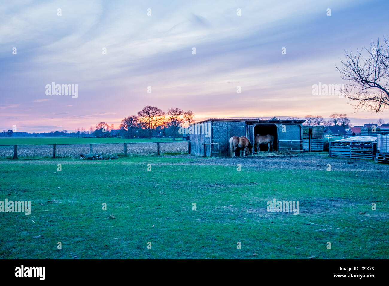 long green field at sunset Stock Photo - Alamy