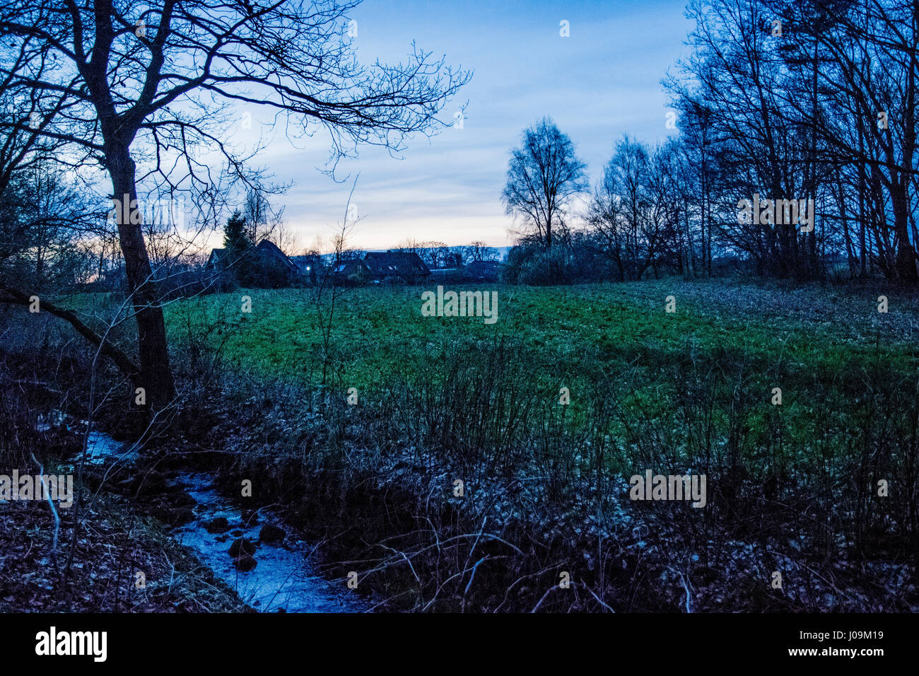 long green field at sunset Stock Photo - Alamy