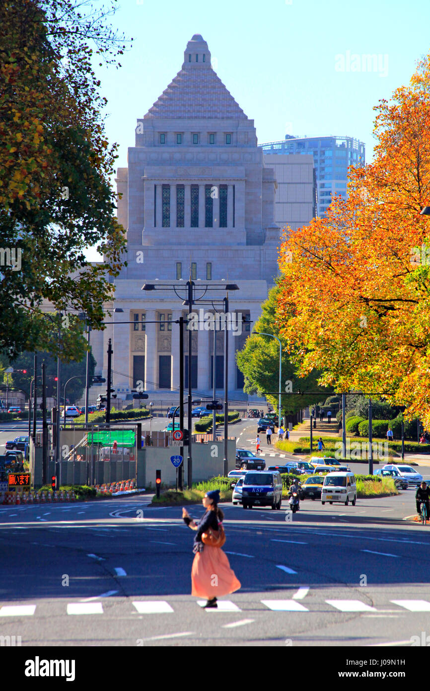 National Diet Building Tokyo Japan Stock Photo