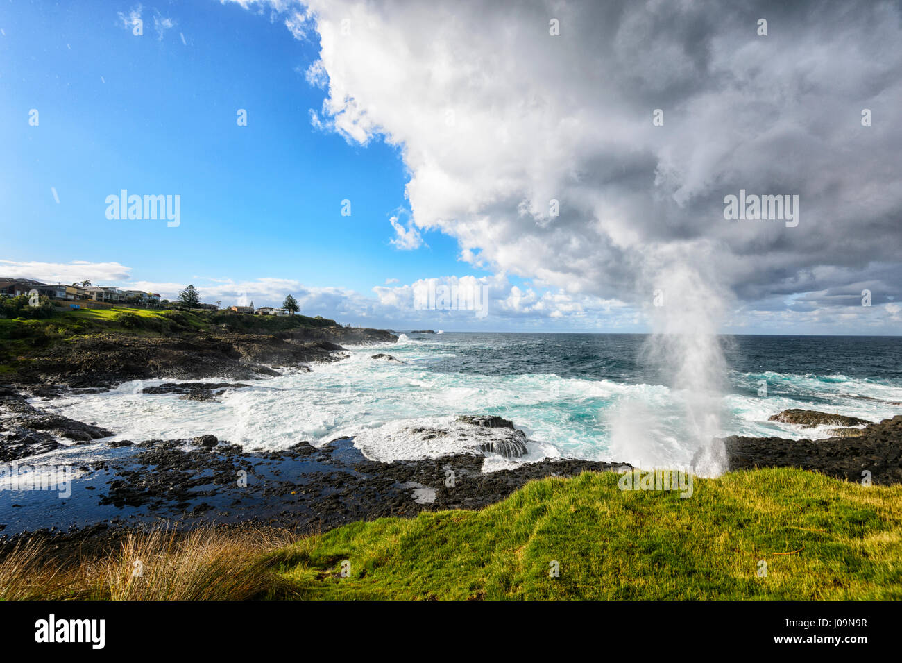 Dramatic view of Kiama Little Blow Hole gushing during a storm, Kiama, Illawarra Coast, New South Wales, NSW, Australia Stock Photo