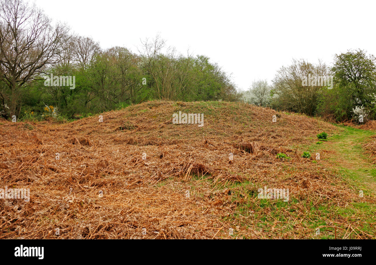 A view of a tumulus or bowl barrow at Alderford Common, Norfolk, England, United Kingdom. Stock Photo