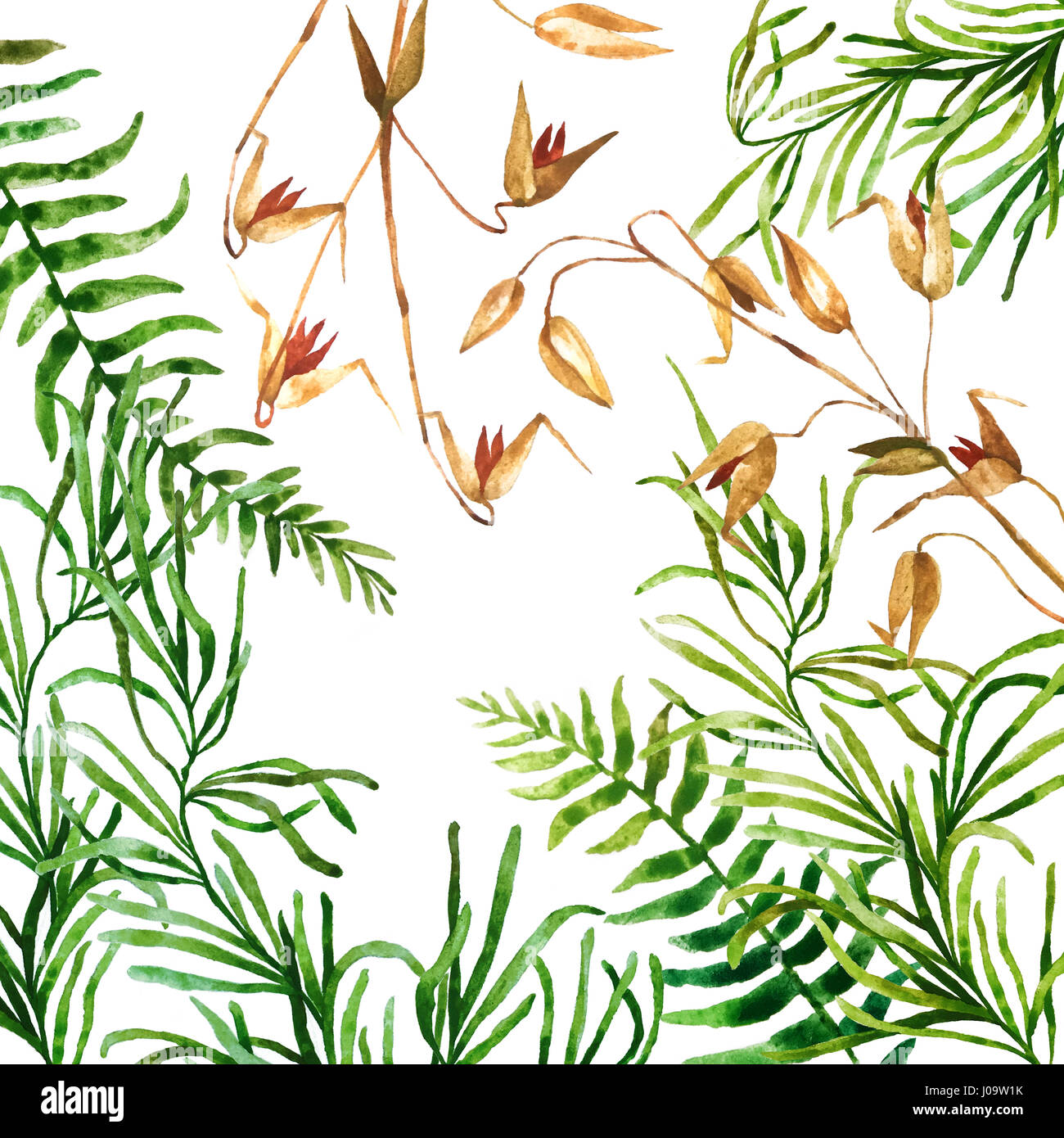 Big set of watercolor botanical elements. Beautiful botanical elements isolated on white