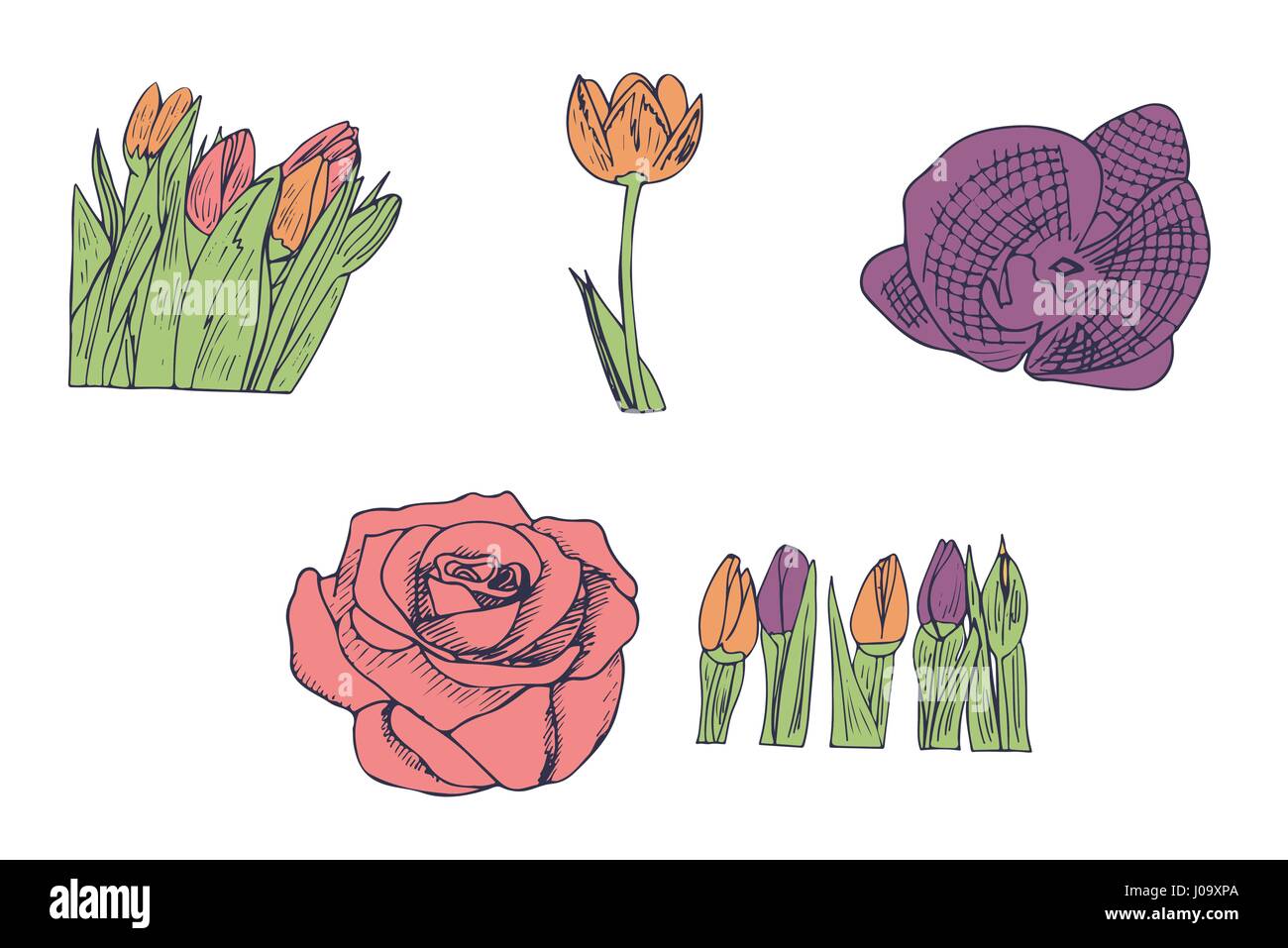 Vector icon set of flowers Stock Vector Image & Art - Alamy