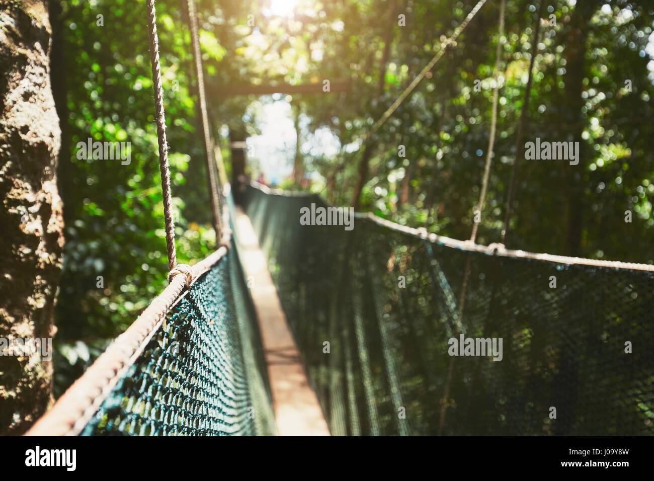 Long elevated walkway through the treetops in rainforest - Borneo, Malaysia Stock Photo