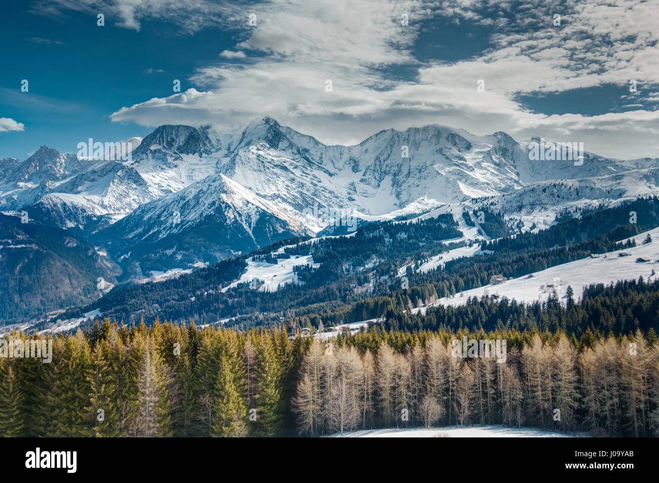 High snowy mountains and low clouds in the distance with foreground trees in French Alps, Mont Blanc area, Chamonix. Stock Photo