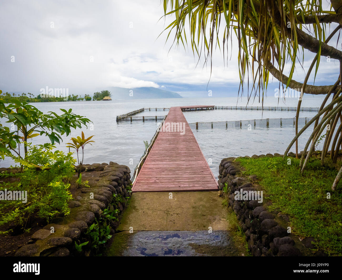 Fish ponds hires stock photography and images Alamy