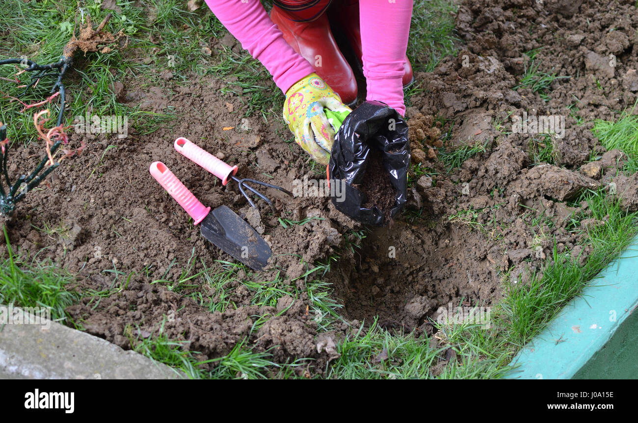Adding mulch to flowerbed hires stock photography and images Alamy