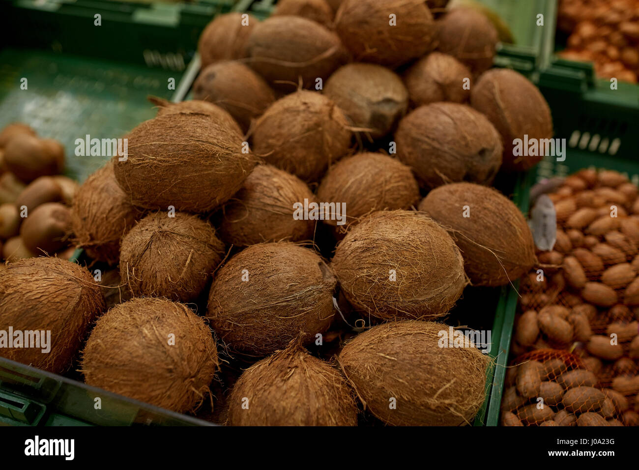 coconuts at grocery store or market Stock Photo Alamy