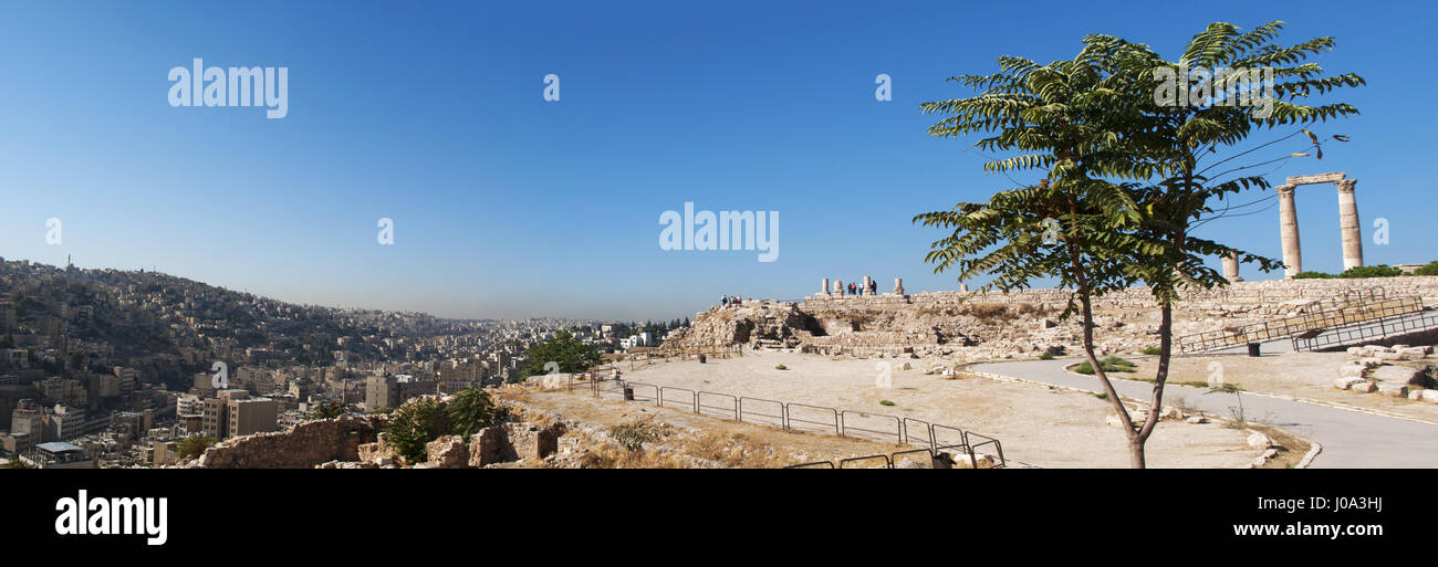 Skyline, a tree and the ruins of the Temple of Hercules, the most significant Roman structure in the Amman Citadel, one of the city's original nucleus Stock Photo