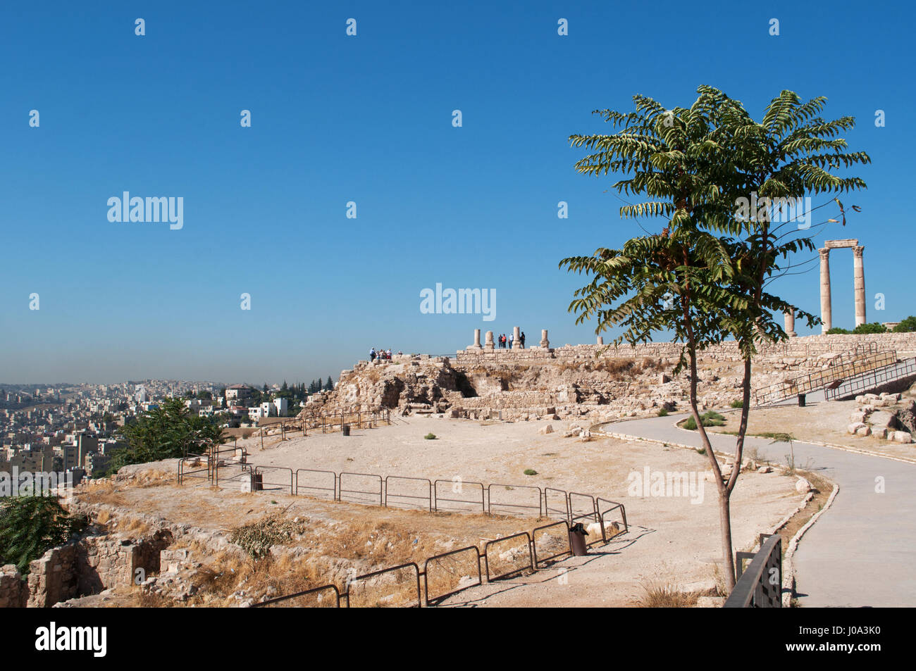 Skyline, a tree and the ruins of the Temple of Hercules, the most significant Roman structure in the Amman Citadel, one of the city's original nucleus Stock Photo