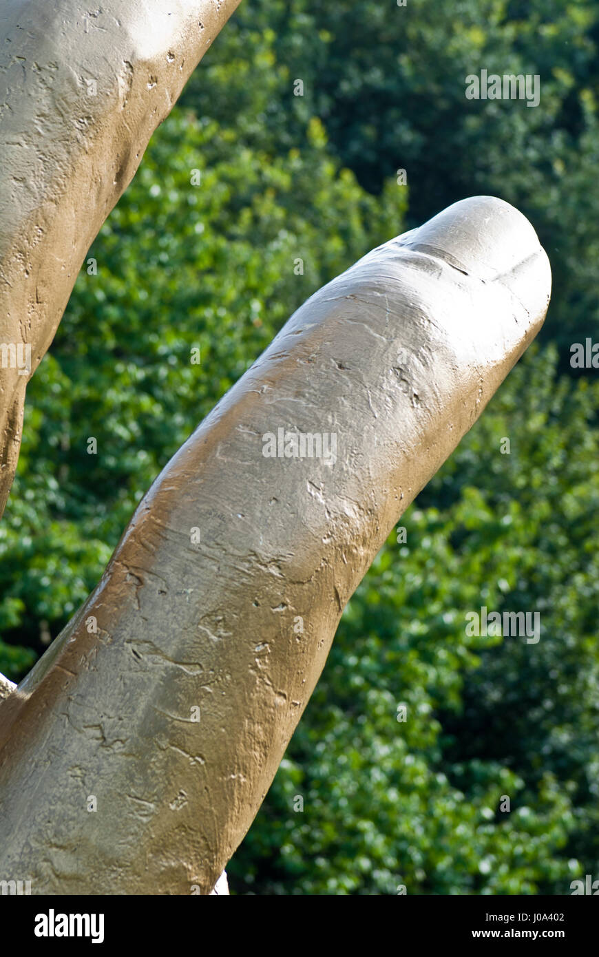 Golden Hand Vicar Water Country Park, Clipstone, Nottinghamshire, UK