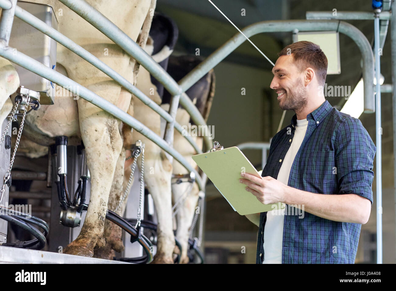 man with clipboard and milking cows on dairy farm Stock Photo - Alamy