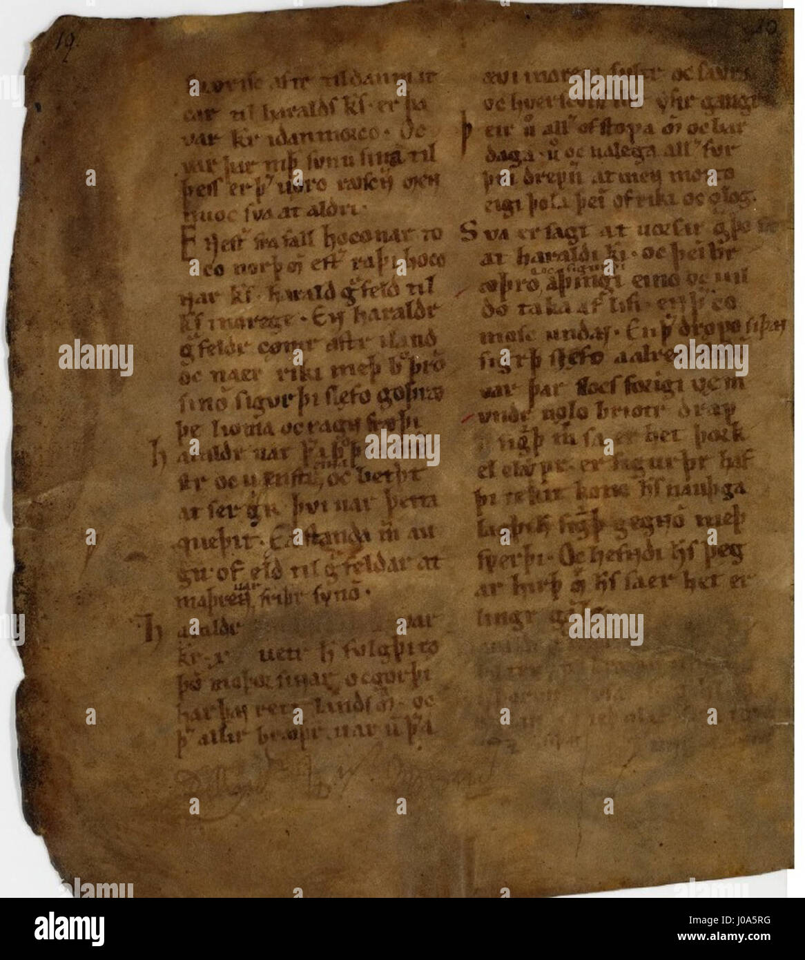 Agrip hi-res stock photography and images - Alamy