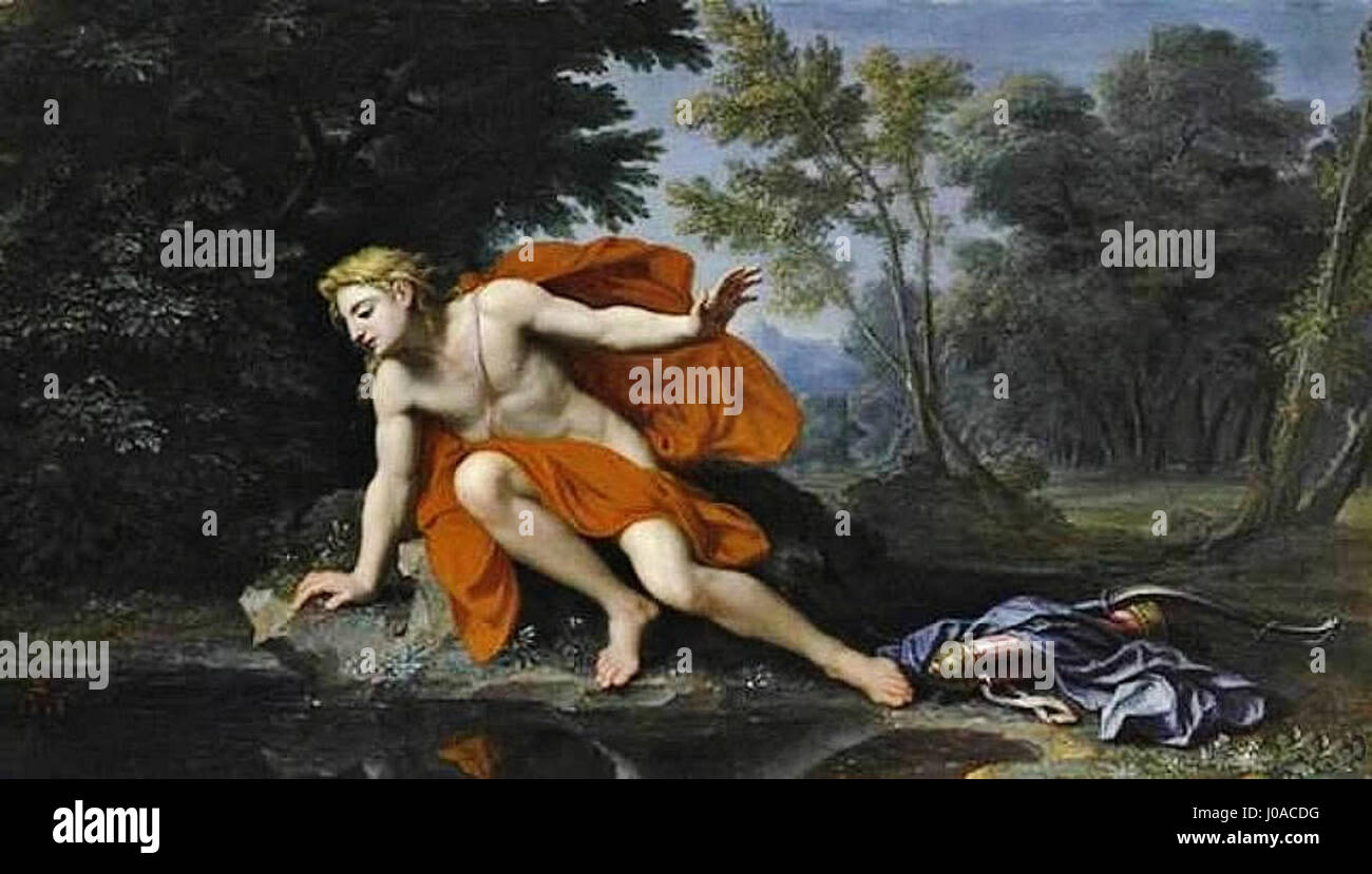 Как оскорбить нарцисса. Нарцисс демотиватор. Пособия как оскорбить нарцисса. Нарцисс картинка с приколом. Как унизить нарцисса.