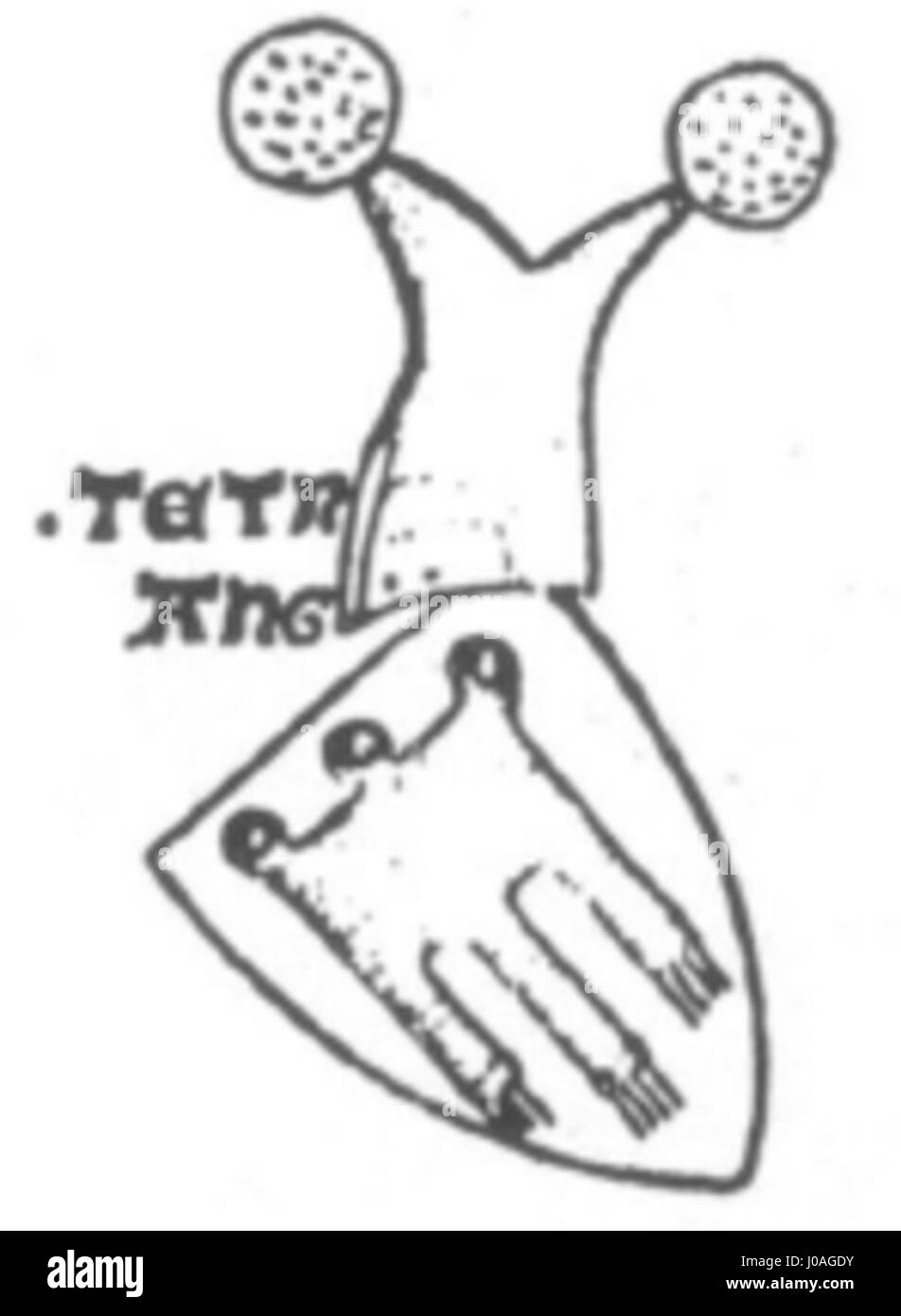 Wappen der Tübinger Pfalzgrafen (Tetnang Stock Photo Alamy