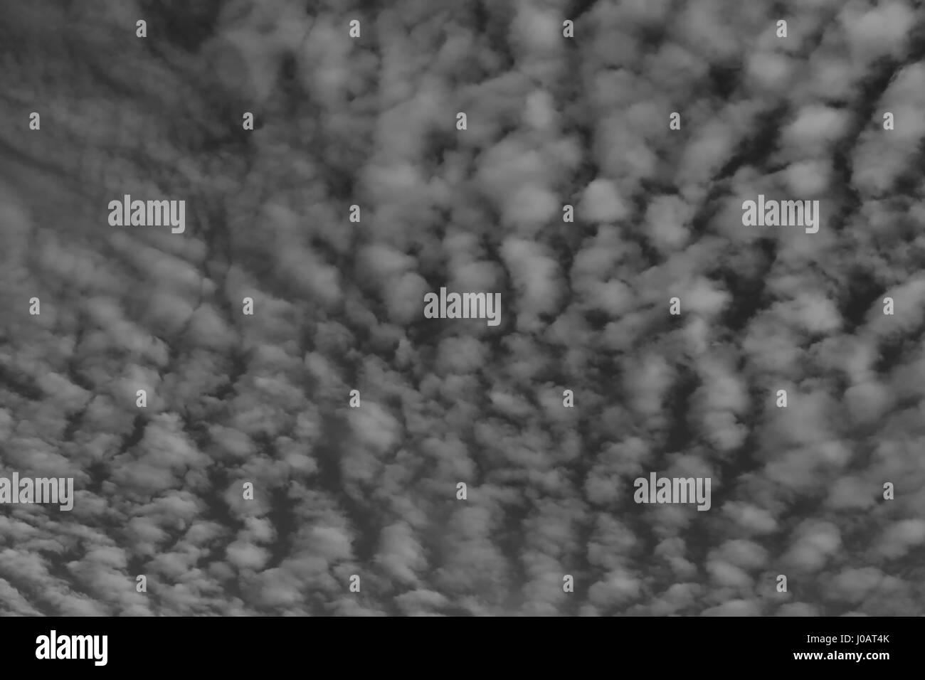 Cloud on sky in Black and white color for design nature background ...