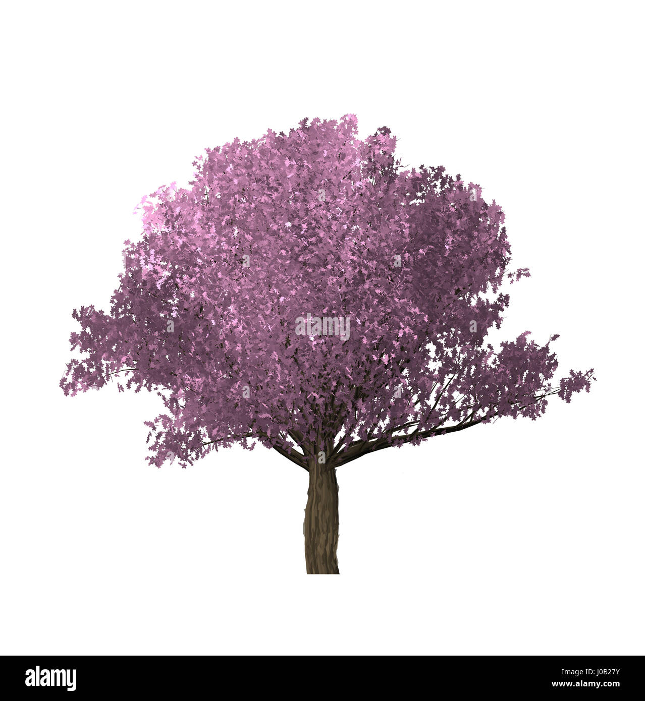 Pink Tree of computer graphics in create isolated on white background. Stock Photo