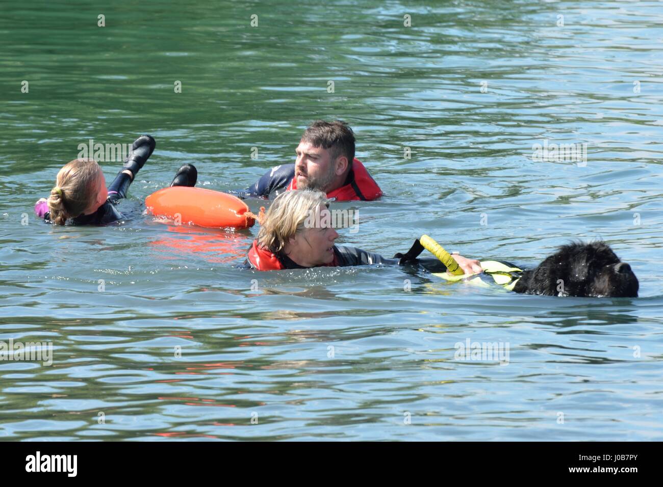 life vest for newfoundland