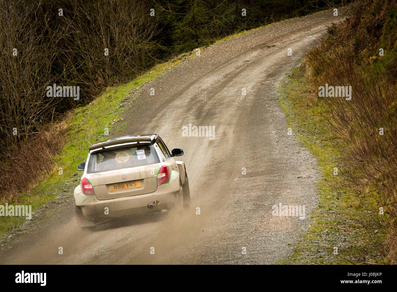 A competitor driving at speed along the gravel forest track on the 2017 Rally North Wales motorsport event Stock Photo