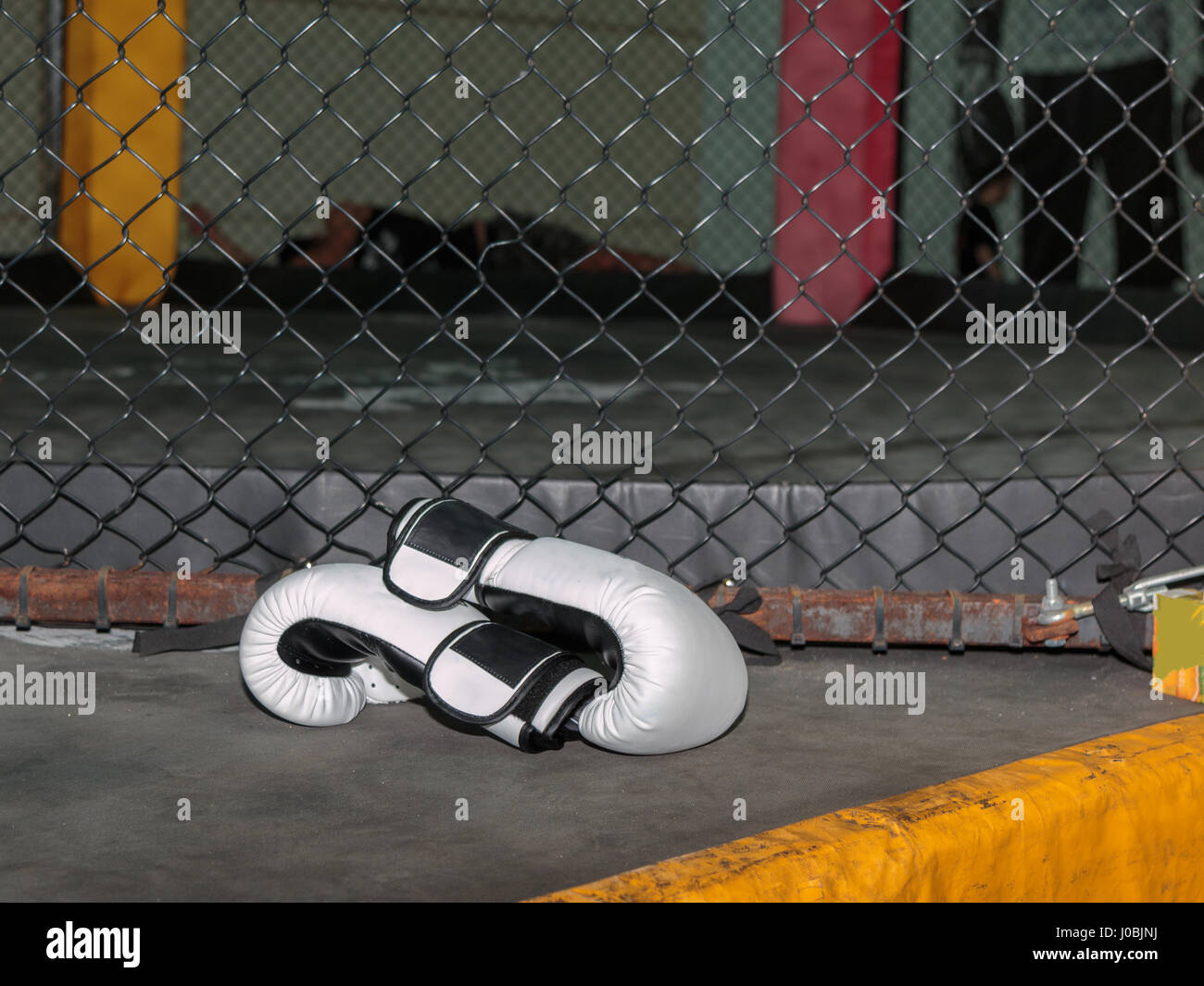 White Leather Boxing Gloves in Boxing Ring Stock Photo Alamy