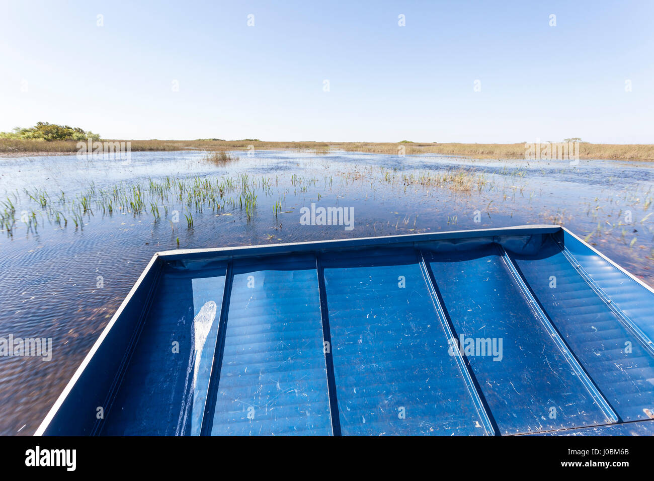 Airboat tour in the Everglades National Park. Florida, United States Stock Photo