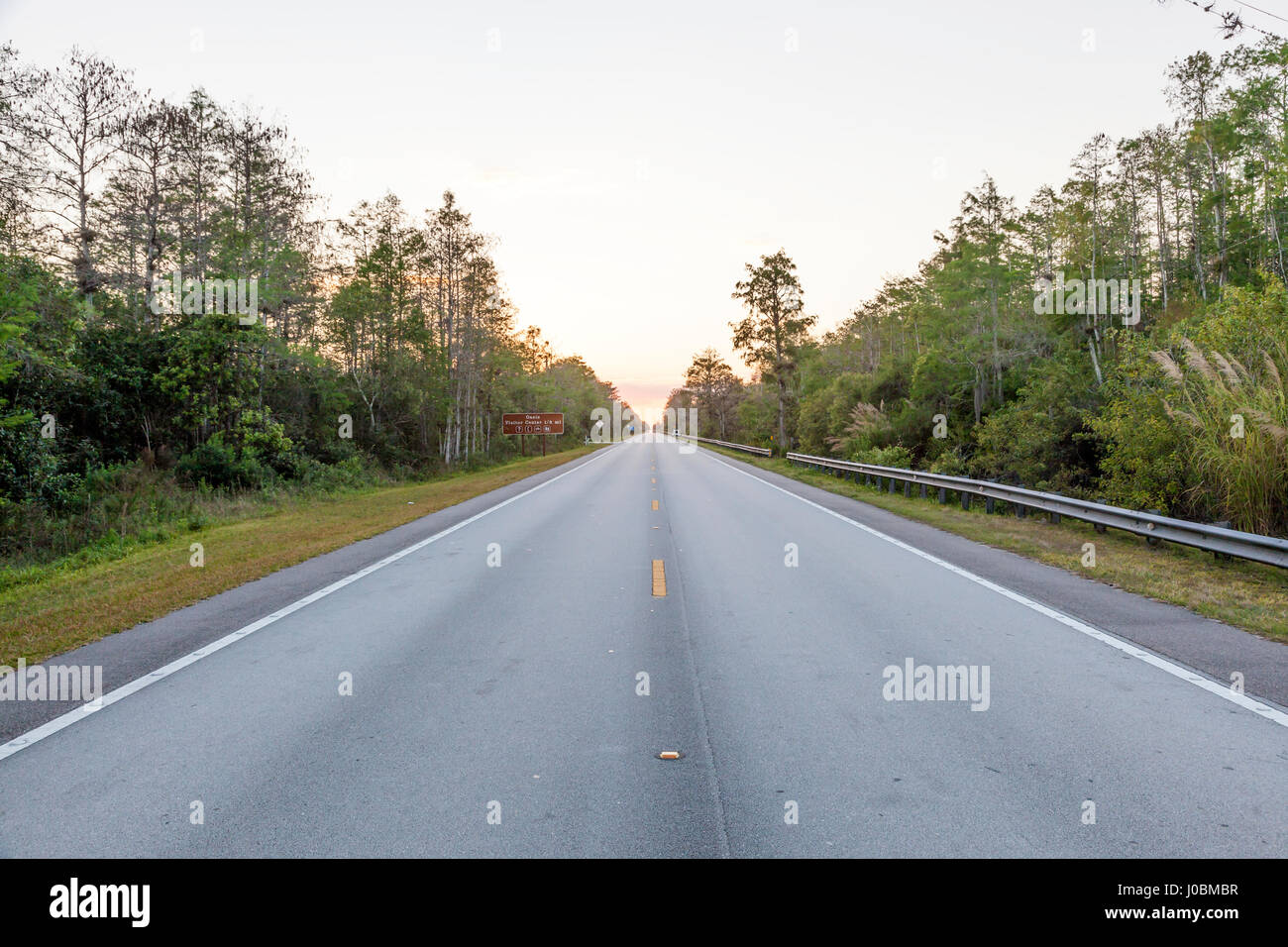 Tamiami Trail scenic highway US 41 view at the sunset. Florida, United States Stock Photo