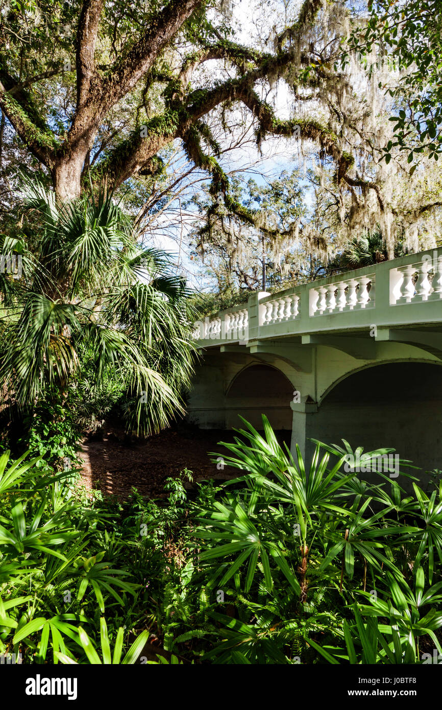 Orlando Florida,H. H. Dickson Azalea Park,historic landmark,WPA project,landscape,garden,bridge,vegetation,live oak tree,FL170222168 Stock Photo