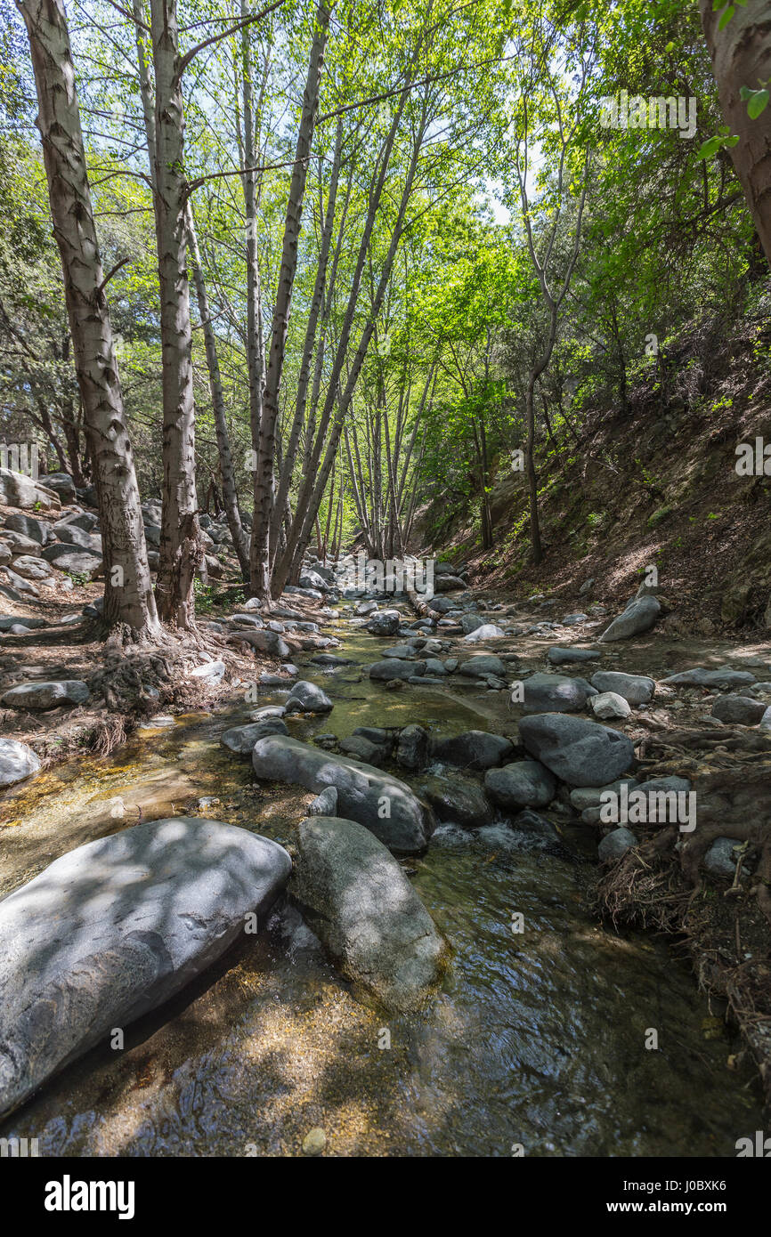 Arroyo Seco creek above Switzer Falls in the San Gabriel Mountains area of the Angeles National Forest near Los Angeles, California. Stock Photo