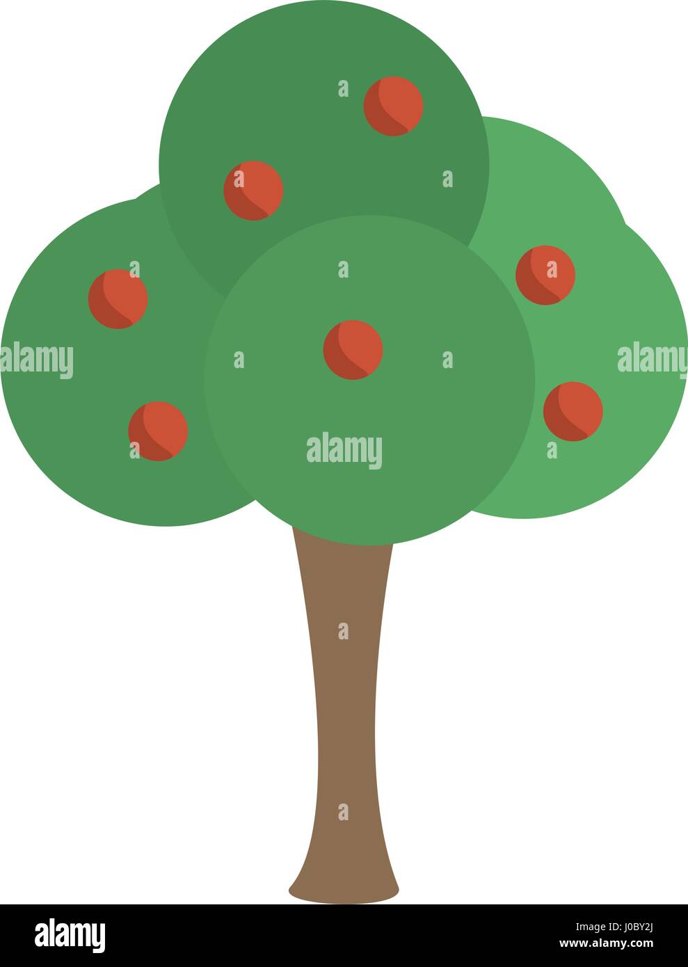 Leafy branch with fruit Stock Vector Images Alamy