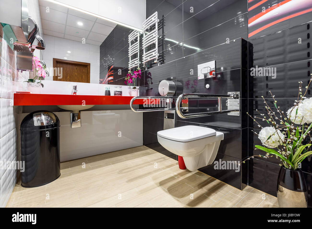 Modern, black and white handicap bathroom with stainless grab bars Stock Photo - Alamy
