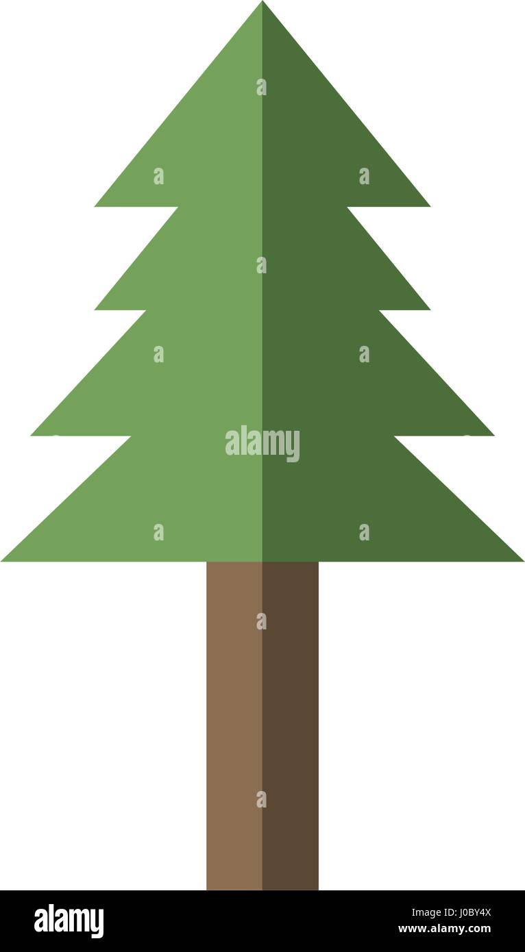 pine tree plant nature image Stock Vector Image & Art - Alamy