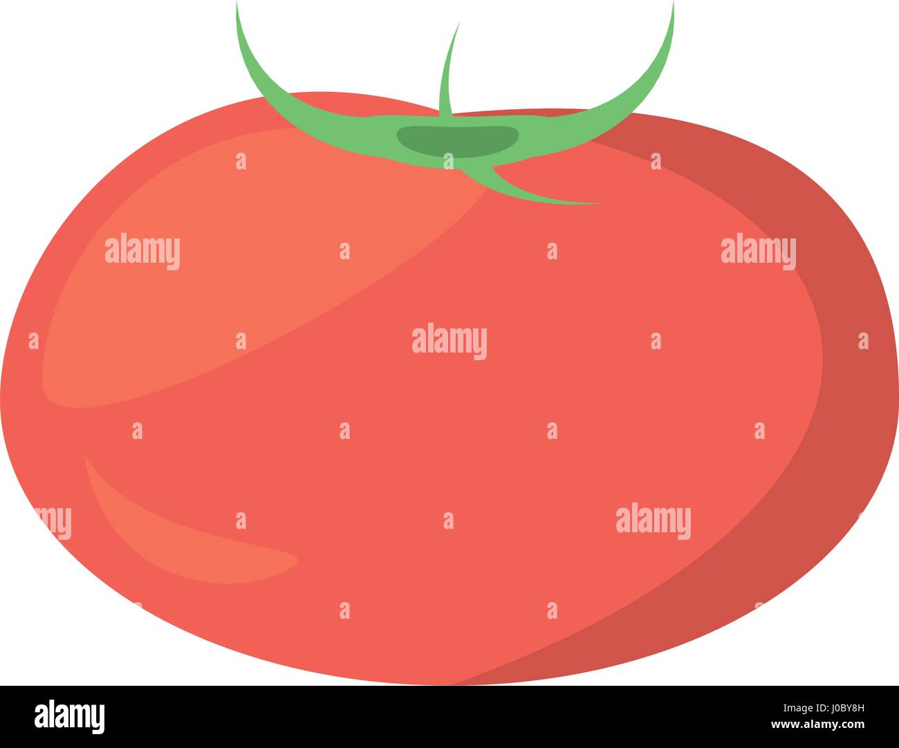 tomato vegetable nutrition image Stock Vector Image & Art - Alamy