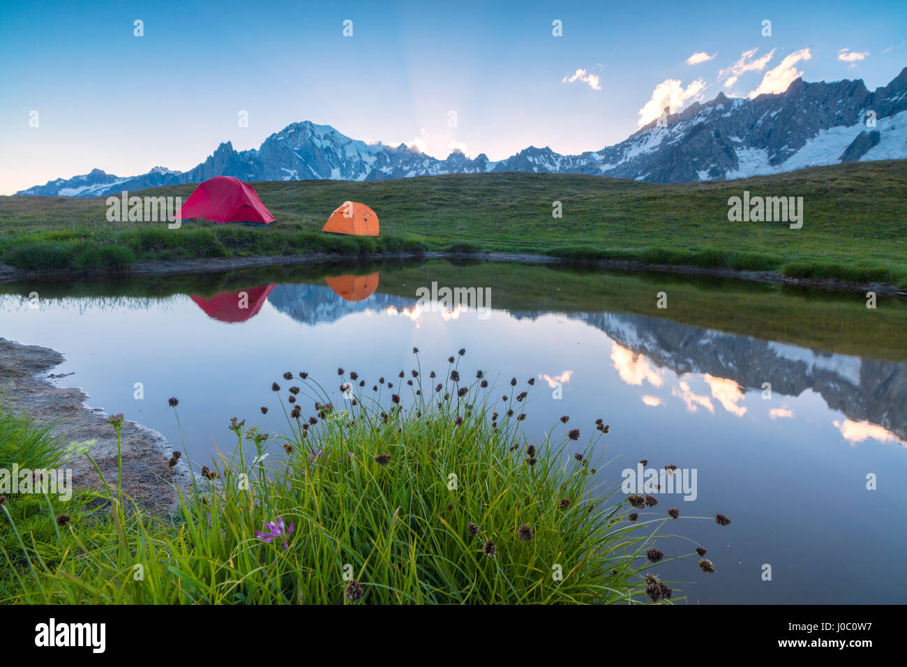 Camping tents in the green meadows surrounded by flowers and alpine lake, Mont De La Saxe, Courmayeur, Aosta Valley, Italy Stock Photo