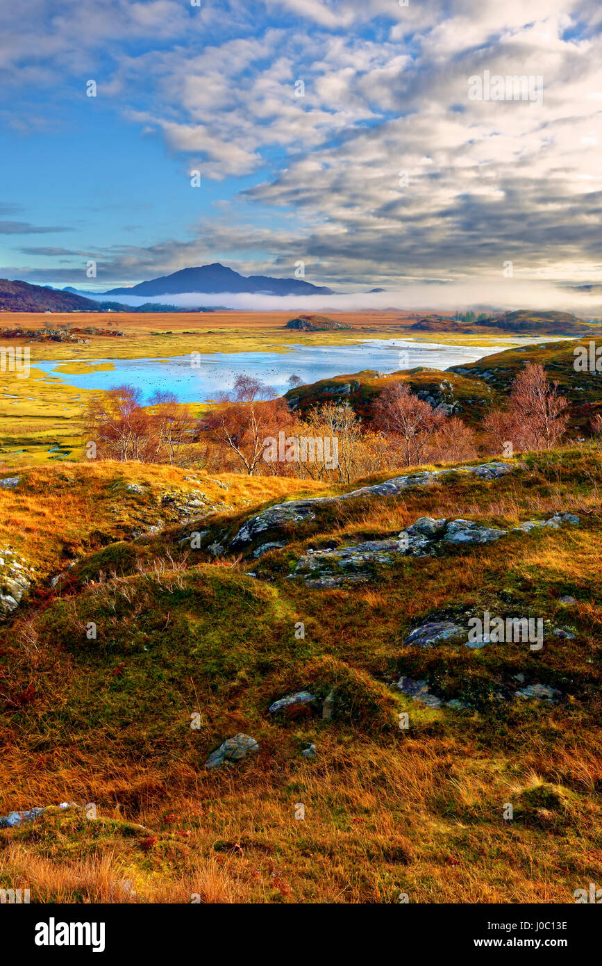 An autumn view of the colorful grass covered hills and moors of Kentra Bay, Highlands, Scotland, UK Stock Photo