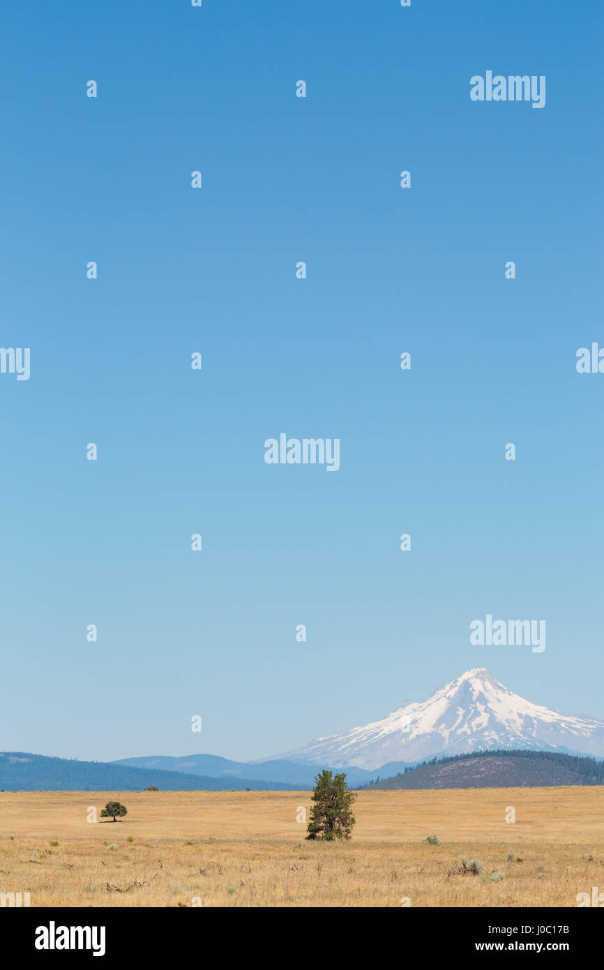 Central Oregon's High Desert with Mount Hood, part of the Cascade Range, Pacific Northwest region, Oregon, USA Stock Photo