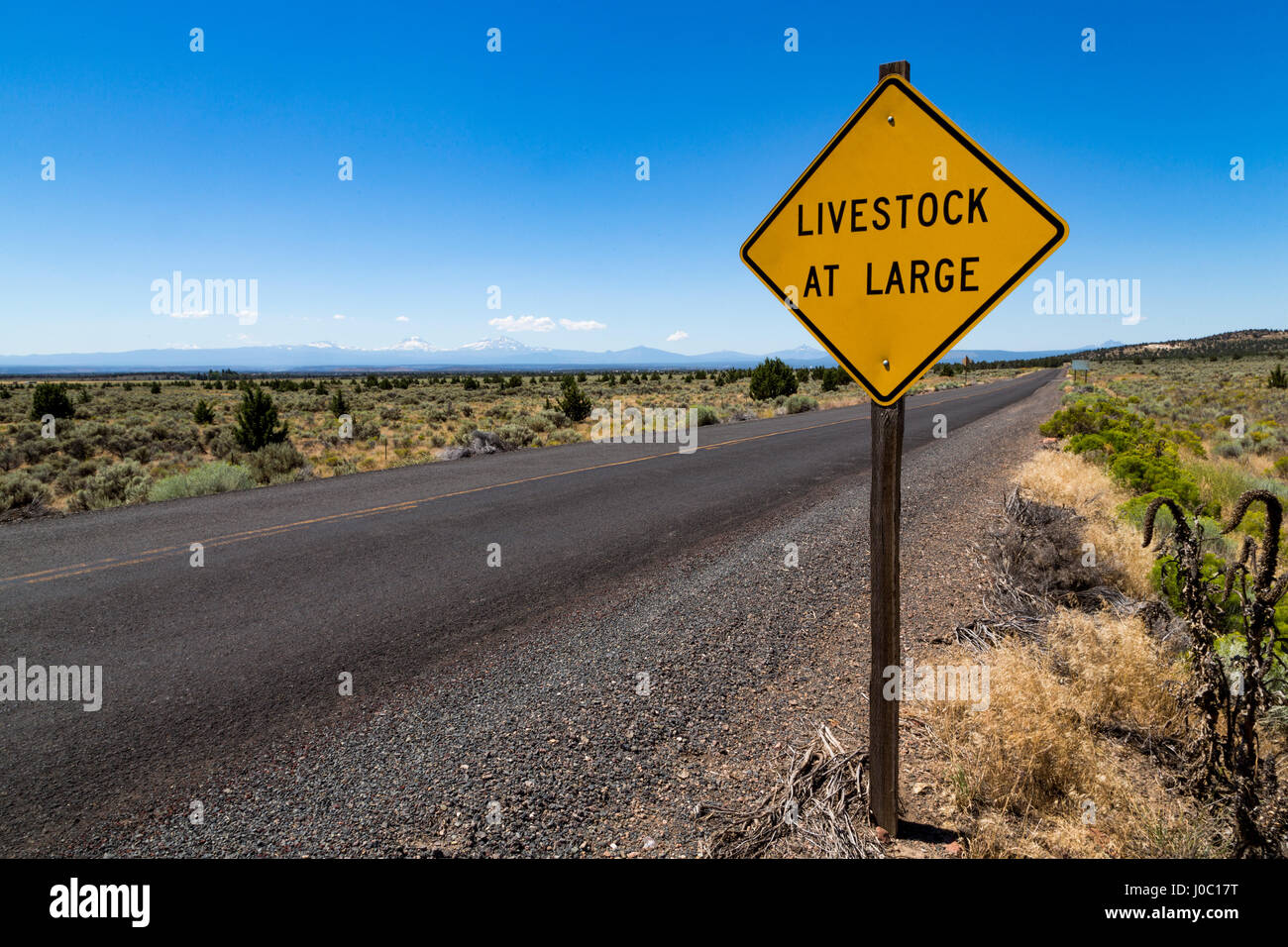 Empty road in central Oregon's High Desert with Livestock at Large sign