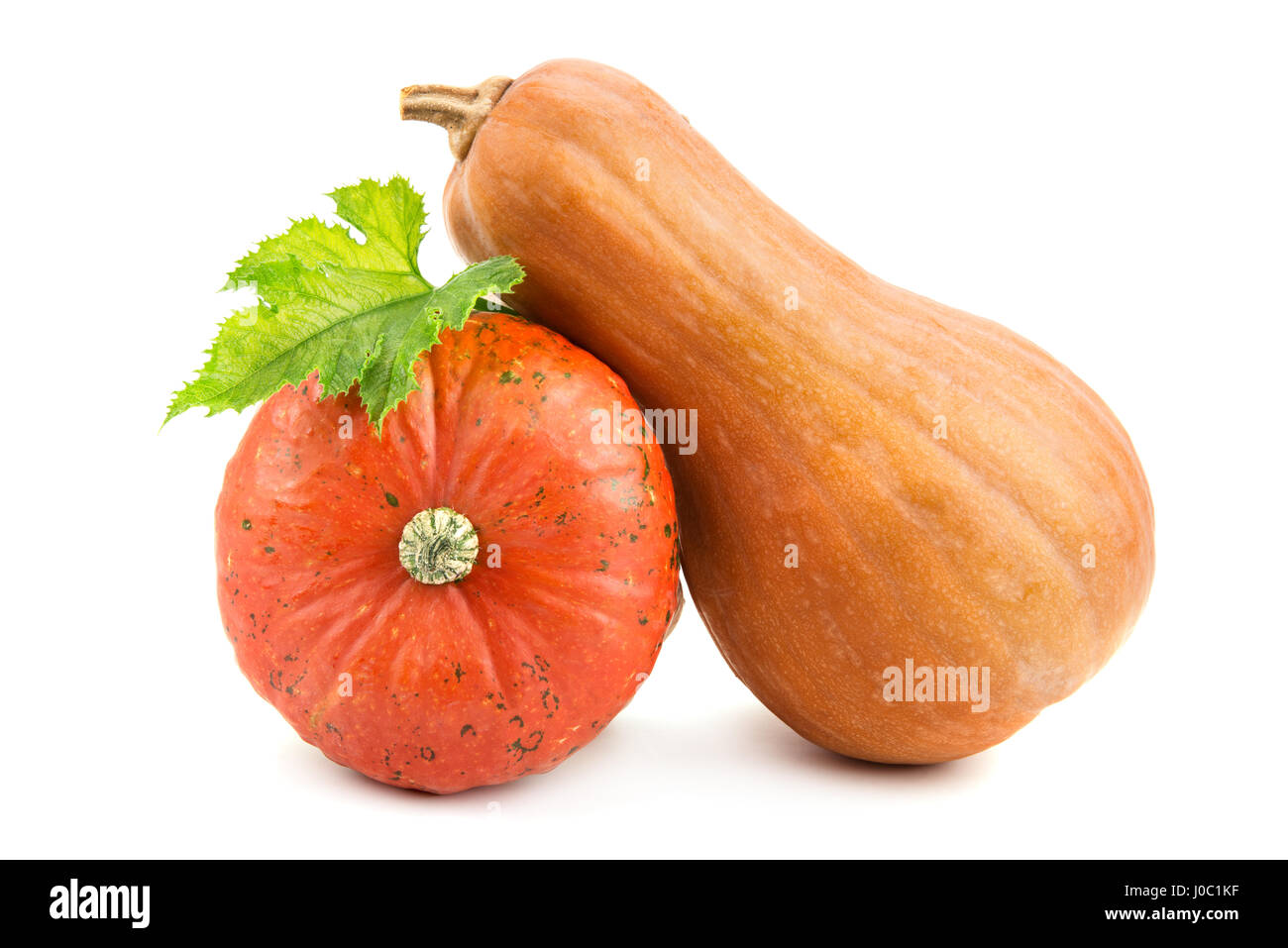 ripe pumpkin isolated on white background Stock Photo - Alamy