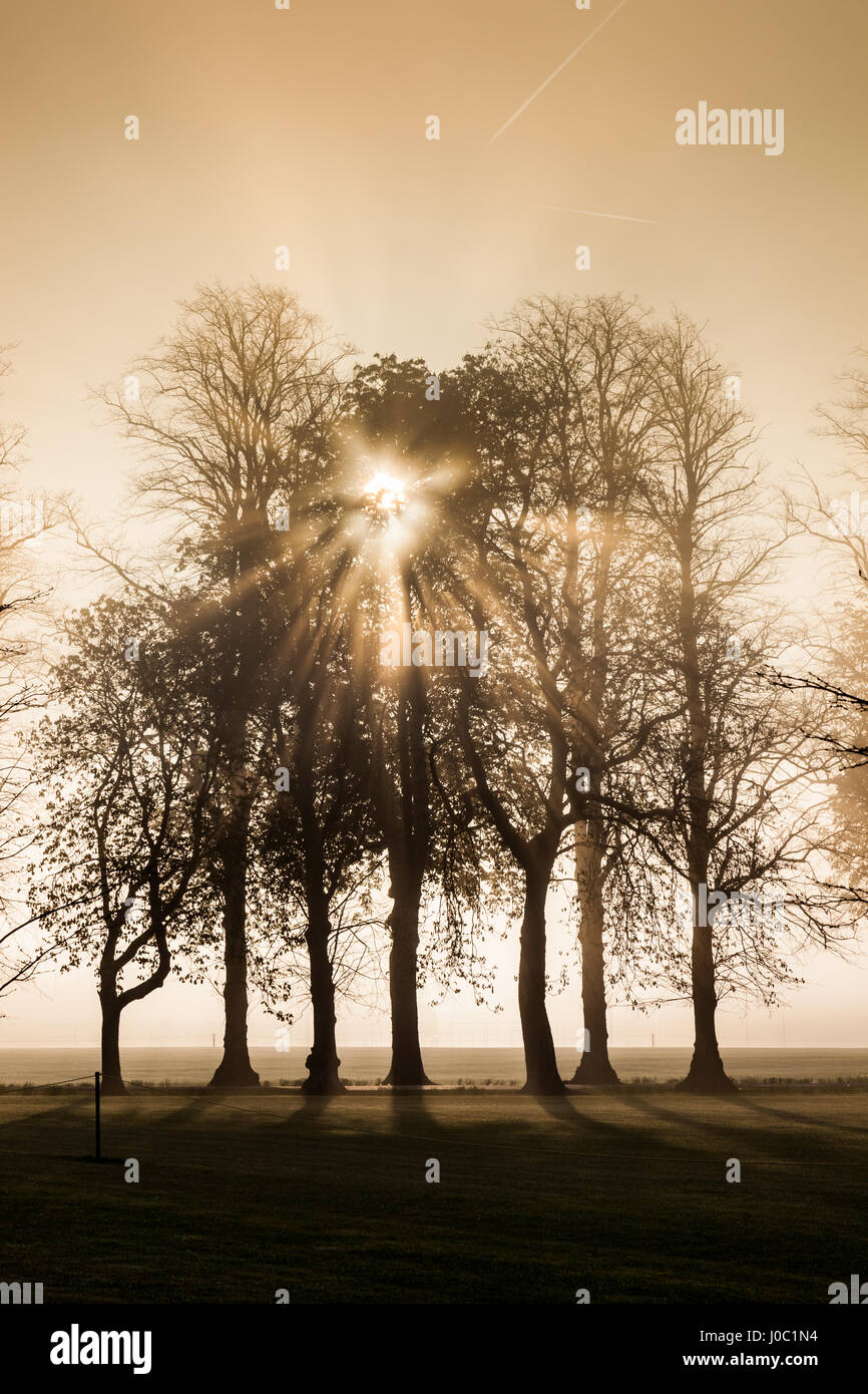 Early morning sun bursting through the mist and the trees at the Royal Agricultural University, Cirencester, Gloucestershire, England, UK Stock Photo